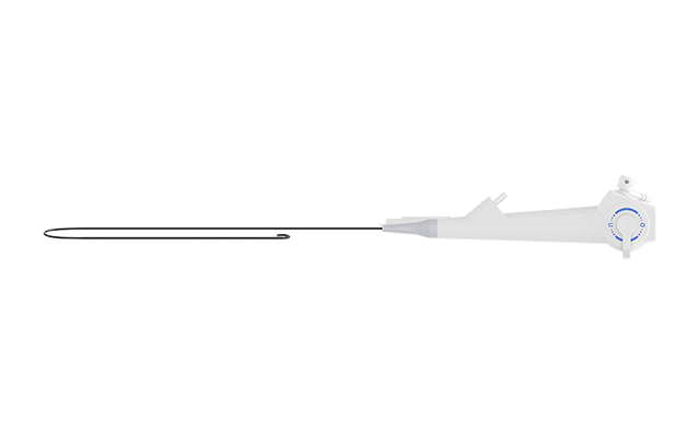 Plataforma de endoscopia