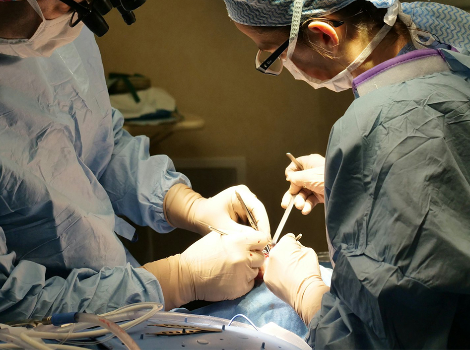 Aplicações de dispositivos e acessórios de endoscopia