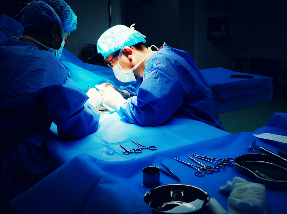 Aplicações da plataforma de endoscopia